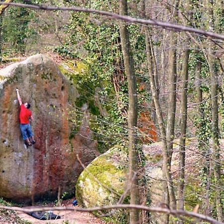 Le Cosy - 2 Pers - Hyper Centre De Fontainebleau Daire Dış mekan fotoğraf